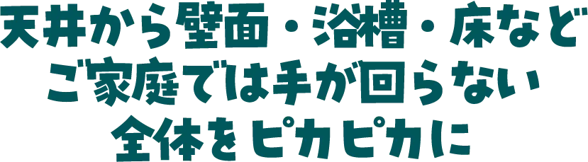 天井から壁面・浴槽・床などご家庭では手が回らない全体をピカピカに