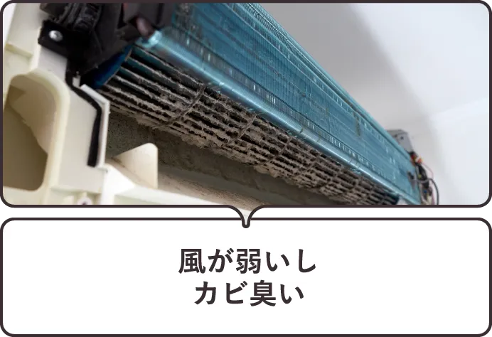 風が弱いしカビ臭い