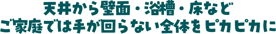 天井から壁面・浴槽・床などご家庭では手が回らない全体をピカピカに