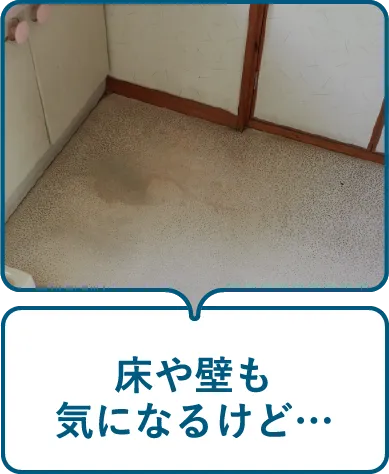 床や壁も気になるけど…